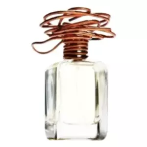Mendittorosa Lacura - Интернет-магазин Aliks Perfume