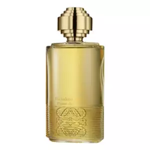 Loewe Atardecer En Los Jardines Del Buen Retiro - Интернет-магазин Aliks Perfume