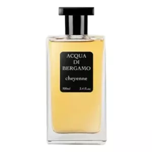 Acqua di Bergamo Cheyenne - Интернет-магазин Aliks Perfume