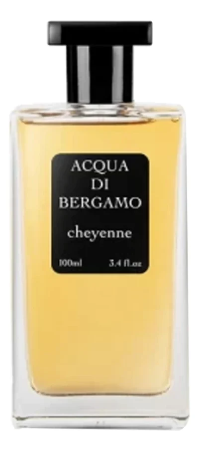 Acqua di Bergamo Cheyenne - Интернет-магазин Aliks Perfume