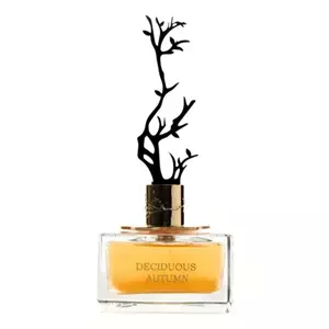Aurora Scents Deciduous Autumn - Интернет-магазин Aliks Perfume