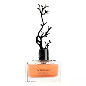 Aurora Scents Deciduous Spring - Интернет-магазин Aliks Perfume