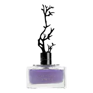 Aurora Scents Deciduous Winter - Интернет-магазин Aliks Perfume