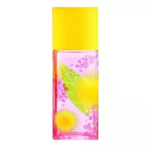 Elizabeth Arden  Green Tea Mimosa - Интернет-магазин Aliks Perfume