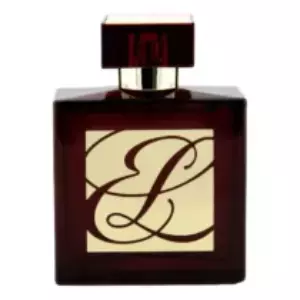 Estee Lauder  Amber Mystique - Интернет-магазин Aliks Perfume