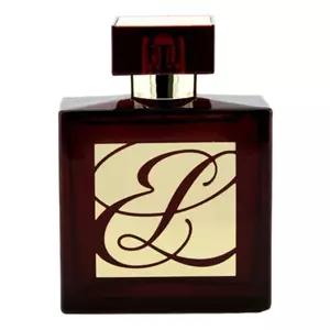 Estee Lauder  Amber Mystique - Интернет-магазин Aliks Perfume