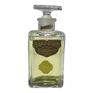 Shiseido Euthrixine - Интернет-магазин Aliks Perfume