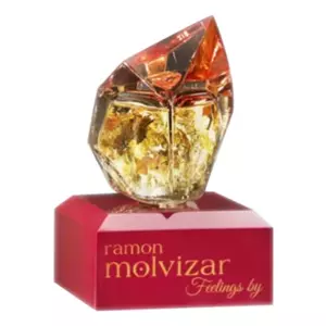 Ramon Molvizar Feelings - Интернет-магазин Aliks Perfume
