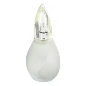 Revlon  Fire & Ice Cool - Интернет-магазин Aliks Perfume