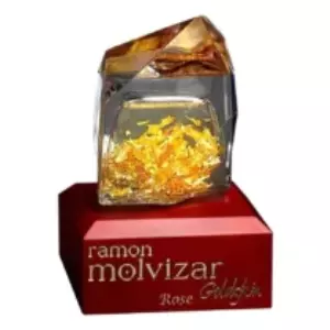 Ramon Molvizar Rose Goldskin - Интернет-магазин Aliks Perfume