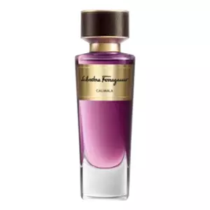 Salvatore Ferragamo Tuscan Soul Calimala - Интернет-магазин Aliks Perfume