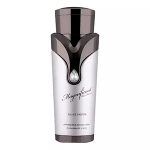 Armaf Magnificent Pour Homme - Интернет-магазин Aliks Perfume