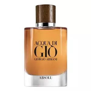 Giorgio Armani Acqua Di Gio Absolu - Интернет-магазин Aliks Perfume