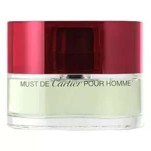 Cartier Must Pour Homme - Интернет-магазин Aliks Perfume