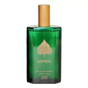 Coty Aspen For Men - Интернет-магазин Aliks Perfume