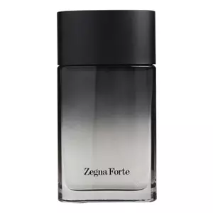 Ermenegildo Zegna  Forte Man - Интернет-магазин Aliks Perfume