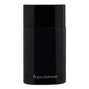 Ermenegildo Zegna Intenso Limited Edition - Интернет-магазин Aliks Perfume