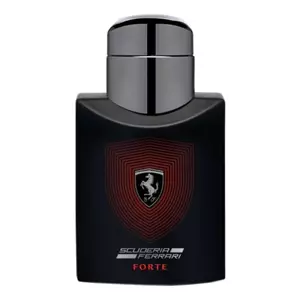 Ferrari  Scuderia Ferrari Forte - Интернет-магазин Aliks Perfume