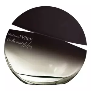GianFranco Ferre  In The Mood For Love Man - Интернет-магазин Aliks Perfume