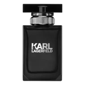 Karl Lagerfeld Pour Homme - Интернет-магазин Aliks Perfume