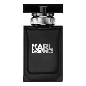 Karl Lagerfeld Pour Homme - Интернет-магазин Aliks Perfume