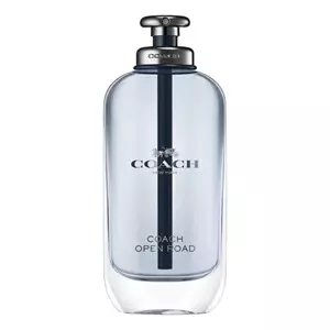 Coach Open Road - Интернет-магазин Aliks Perfume