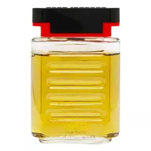 Paco Rabanne Tenere - Интернет-магазин Aliks Perfume