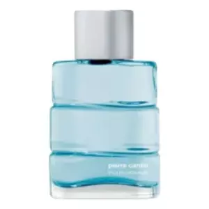 Pierre Cardin Pour Homme - Интернет-магазин Aliks Perfume