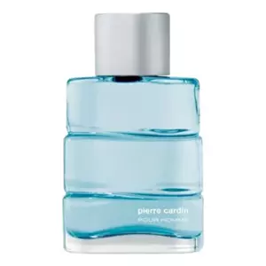 Pierre Cardin Pour Homme - Интернет-магазин Aliks Perfume