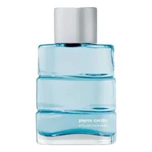 Pierre Cardin Pour Homme - Интернет-магазин Aliks Perfume