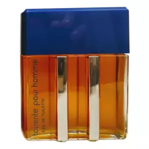 Torrente Pour Homme - Интернет-магазин Aliks Perfume