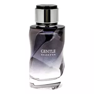Reyane Tradition Gentle Elsatys - Интернет-магазин Aliks Perfume