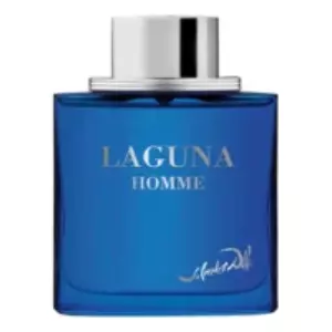 Salvador Dali Laguna Homme - Интернет-магазин Aliks Perfume
