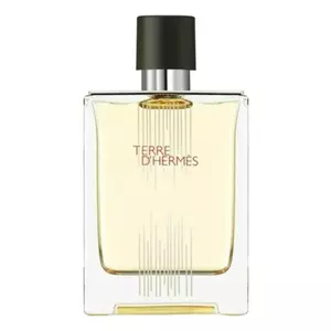 Hermes Terre D'Hermes Flacon H 2021 - Интернет-магазин Aliks Perfume