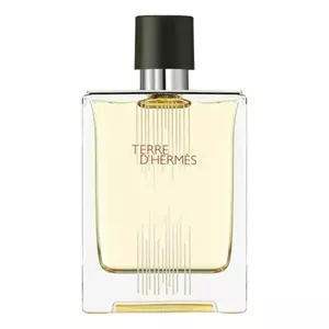 Hermes Terre D'Hermes Flacon H 2021 - Интернет-магазин Aliks Perfume