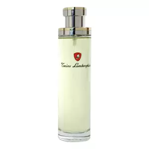 Tonino Lamborghini Pour Homme - Интернет-магазин Aliks Perfume