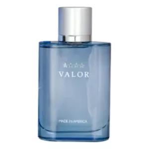 Dana Valor For Men - Интернет-магазин Aliks Perfume