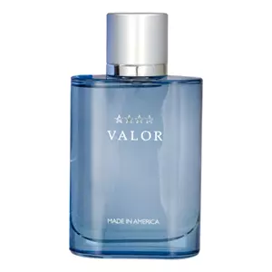 Dana Valor For Men - Интернет-магазин Aliks Perfume