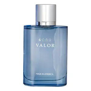 Dana Valor For Men - Интернет-магазин Aliks Perfume