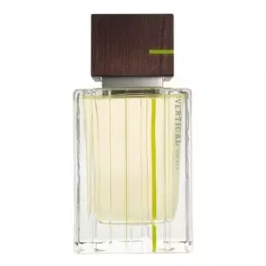 Victorias Secret Vertical For Men - Интернет-магазин Aliks Perfume