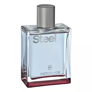 Victorinox Steel - Интернет-магазин Aliks Perfume
