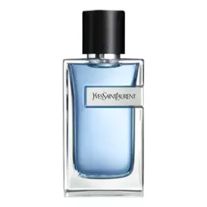 Yves Saint Laurent Y 2022 - Интернет-магазин Aliks Perfume