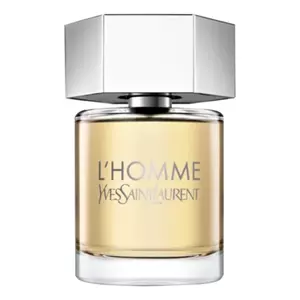 Yves Saint Laurent L'Homme - Интернет-магазин Aliks Perfume