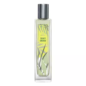 Brocard Day Dreams Silky Grass - Интернет-магазин. Kalinka-parfum.ru