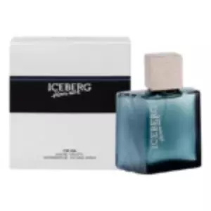 Iceberg Homme - Интернет-магазин Aliks Perfume