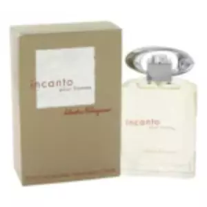Salvatore Ferragamo  Incanto Pour Homme - Интернет-магазин Aliks Perfume