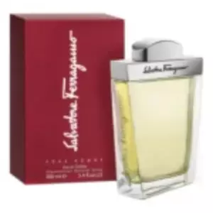 Salvatore Ferragamo Pour Homme - Интернет-магазин Aliks Perfume