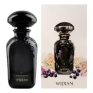 WIDIAN AJ Arabia IV - Интернет-магазин Aliks Perfume