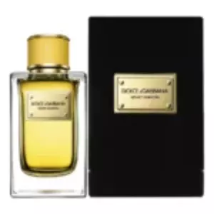 Dolce & Gabbana Velvet Ginestra - Интернет-магазин Aliks Perfume