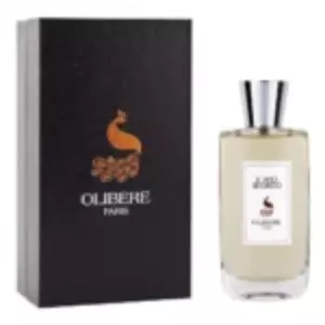 Olibere Parfums IL Mio Segreto - Интернет-магазин Aliks Perfume